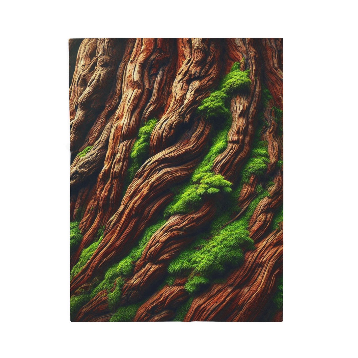 "The Titan’s Rest" Blanket | The Forest Line – Soft, Cozy & Inspired by Sequoias