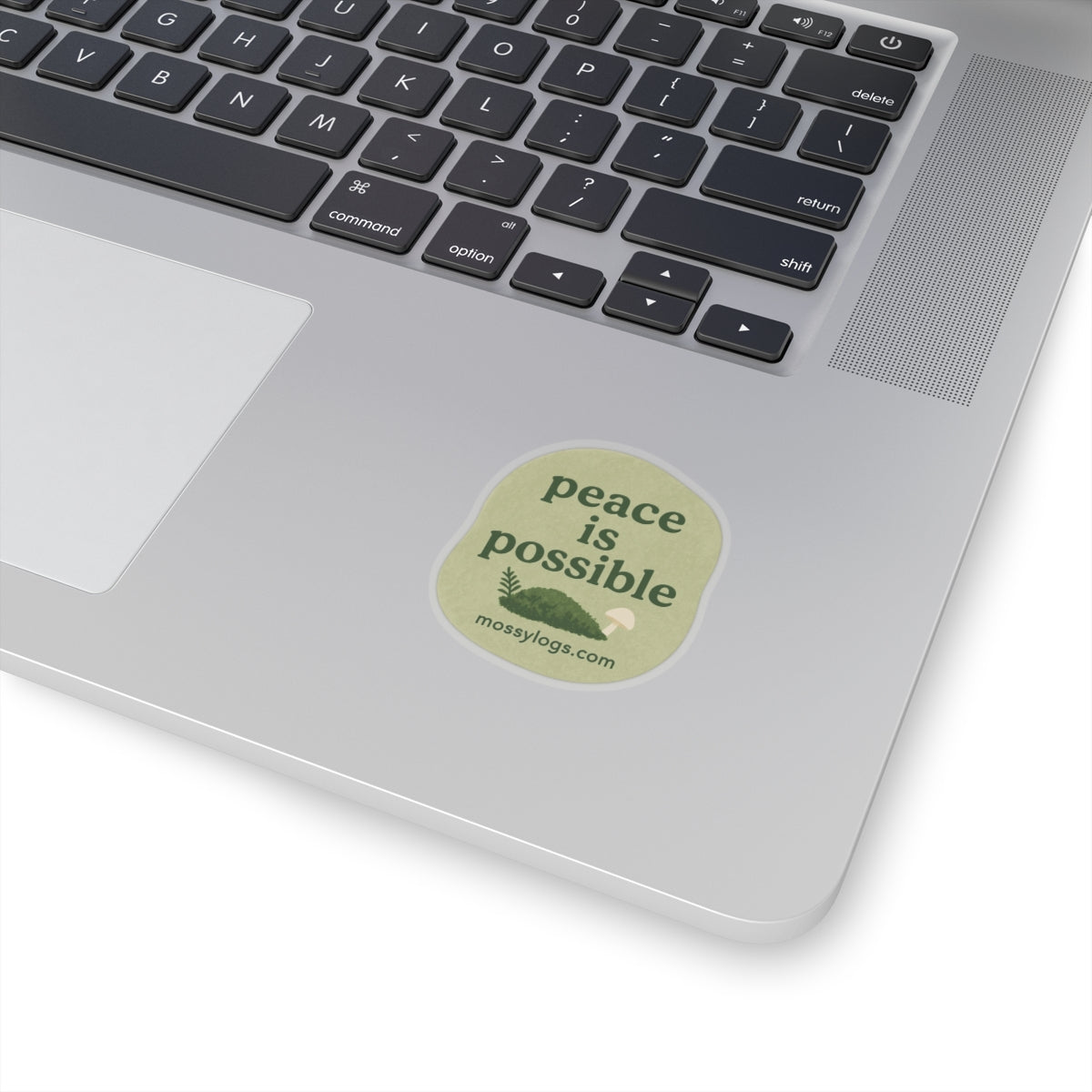 Peace Is Possible | Vinyl Sticker