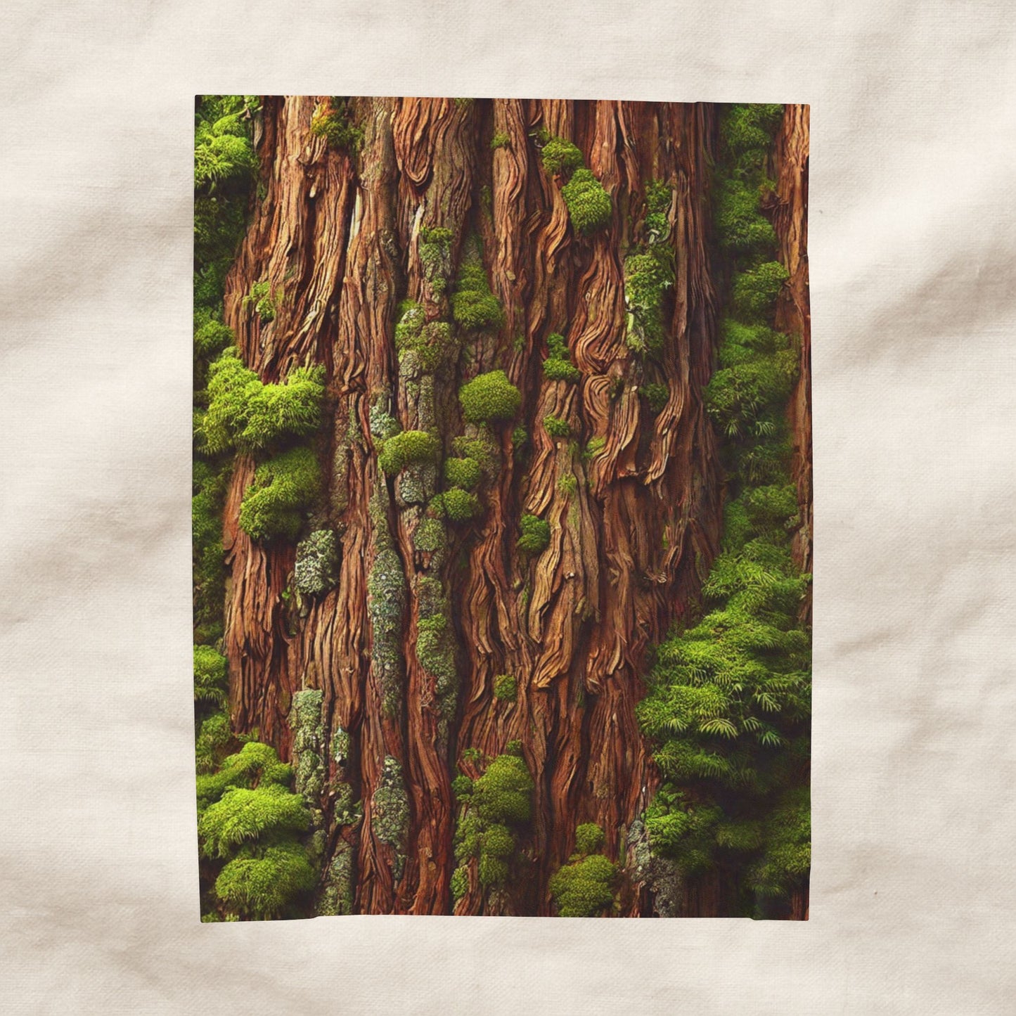 "The Cedar Sanctuary" Blanket | The Forest Line – Cozy, Soft & Inspired by Nature