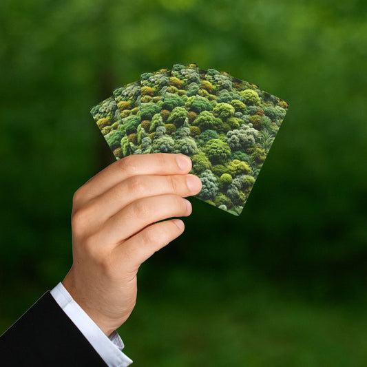 Moss Deck | A Pocket of Stillness