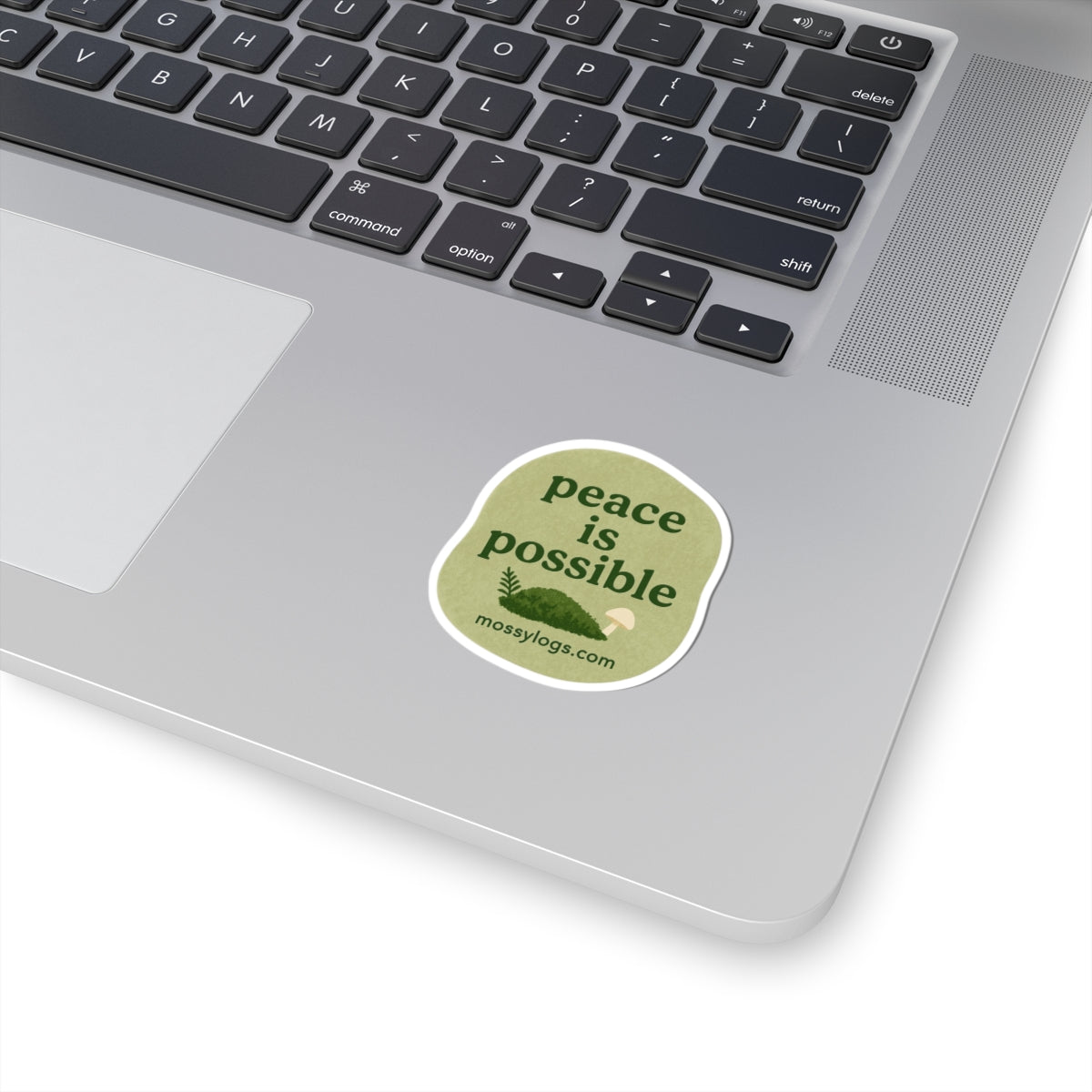 Peace Is Possible | Vinyl Sticker