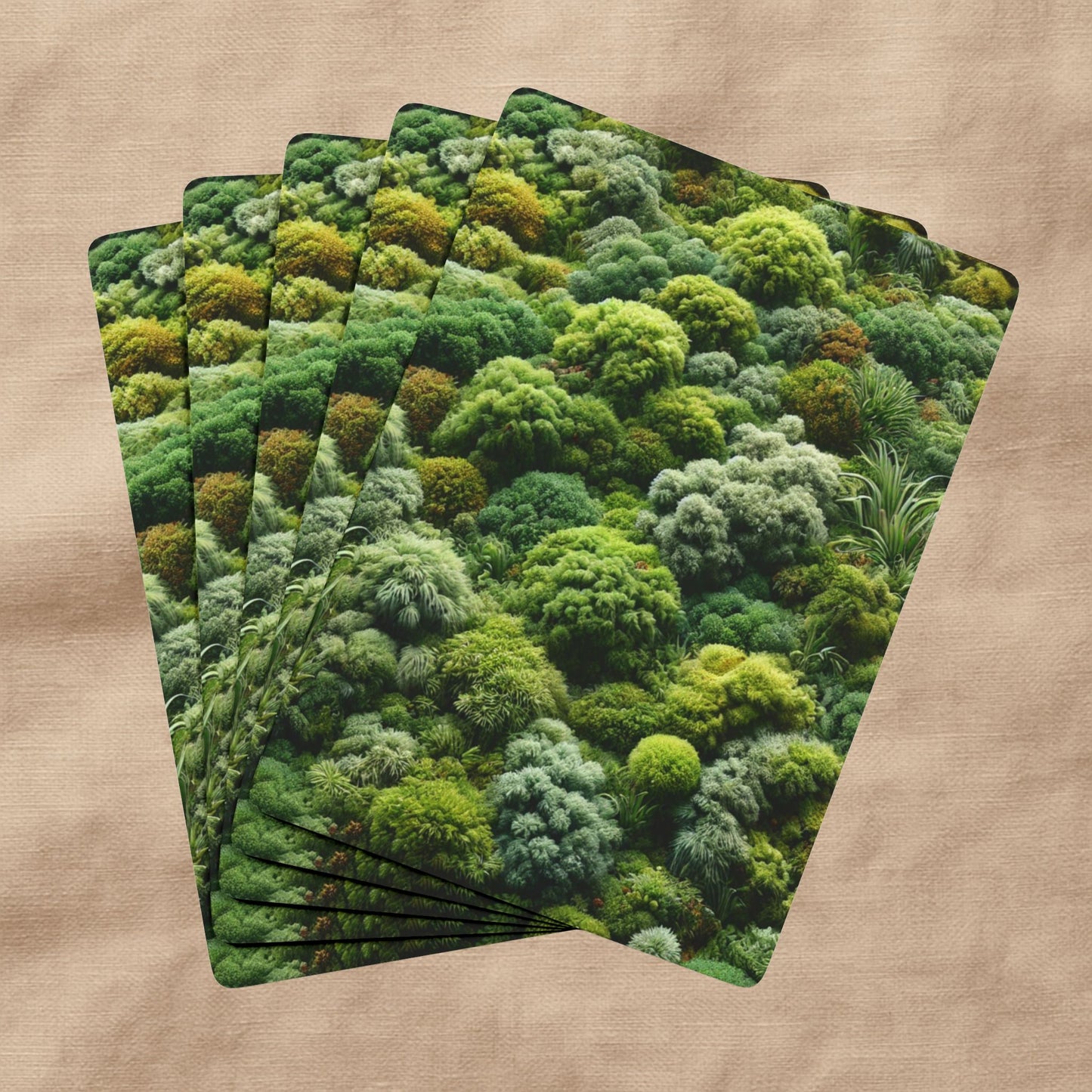 Moss Deck | A Pocket of Stillness