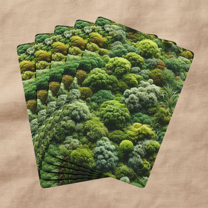 Moss Deck | A Pocket of Stillness