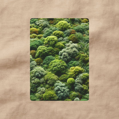 Moss Deck | A Pocket of Stillness