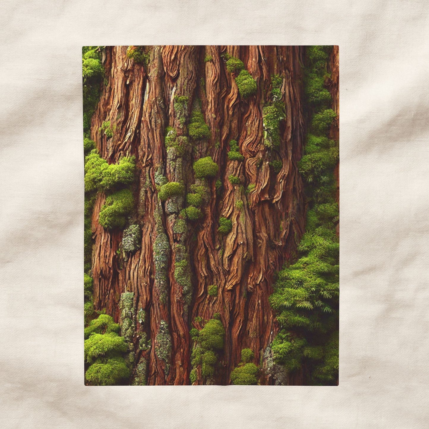 "The Cedar Sanctuary" Blanket | The Forest Line – Cozy, Soft & Inspired by Nature