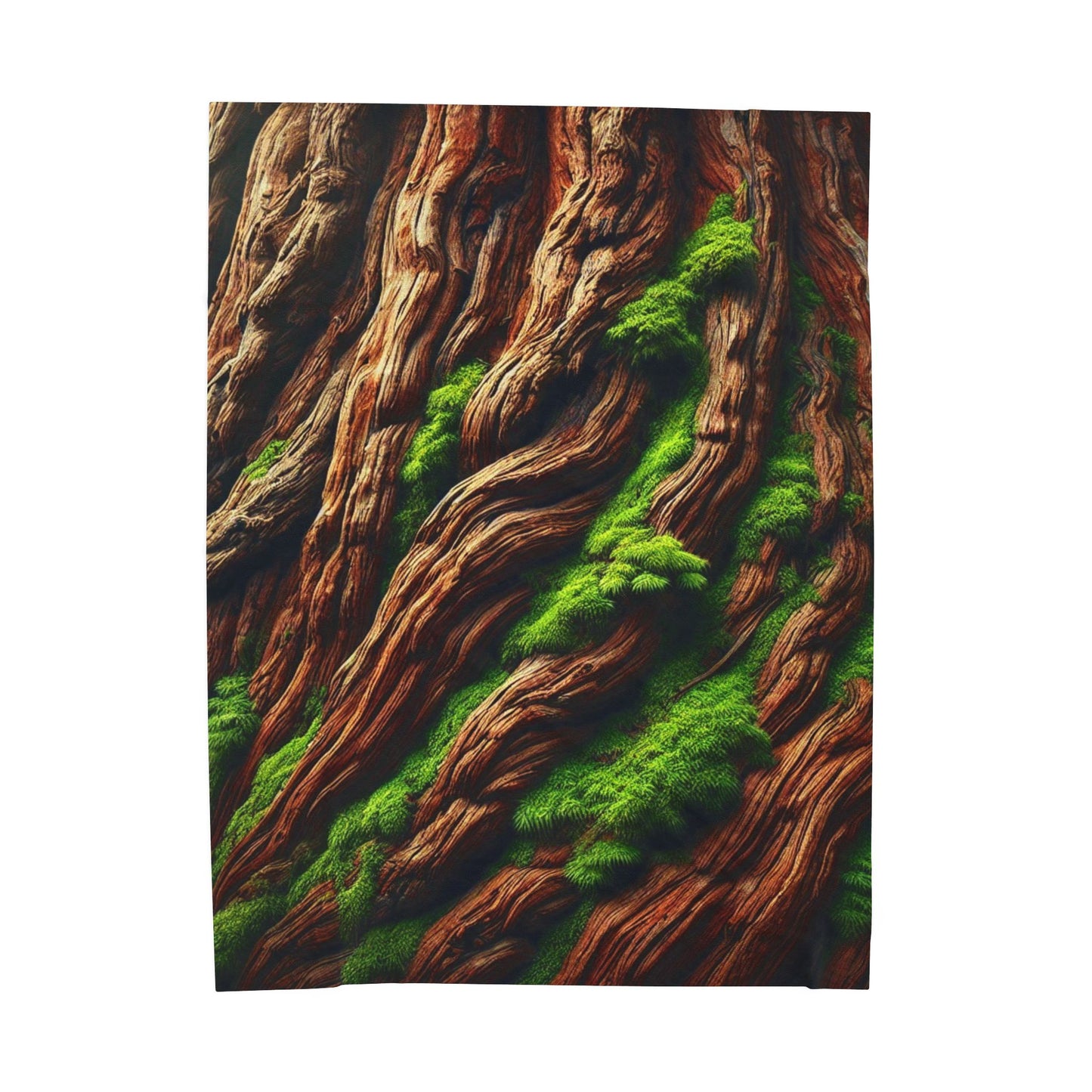 "The Titan’s Rest" Blanket | The Forest Line – Soft, Cozy & Inspired by Sequoias