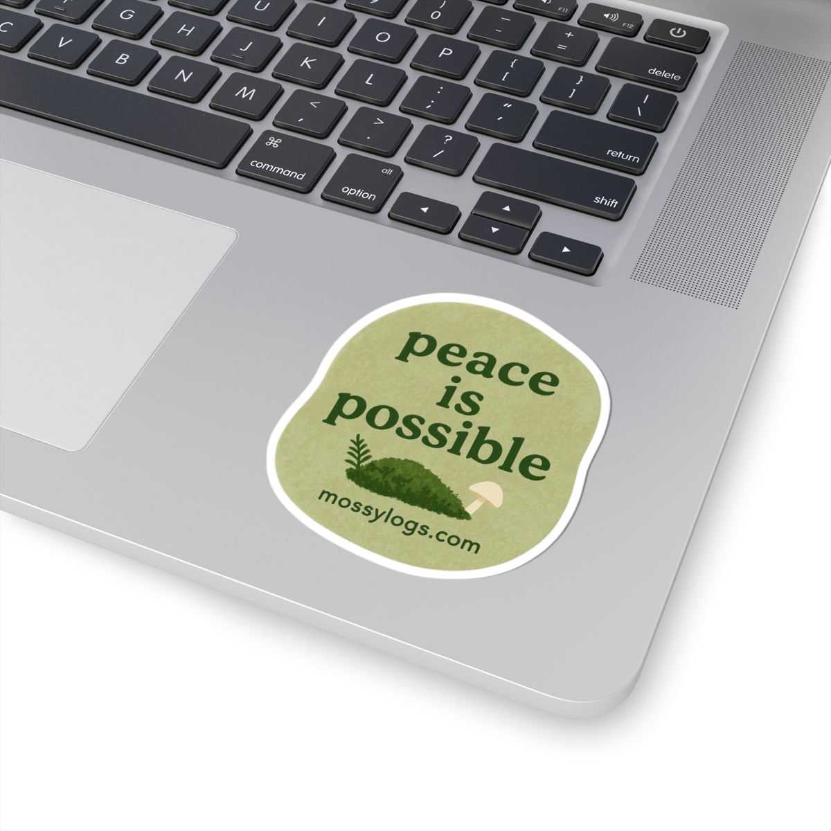 Peace Is Possible | Vinyl Sticker